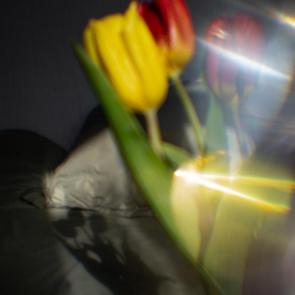 ����: ���� � ���� �����