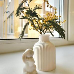 ����: �����...