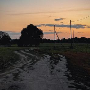 ���� ��������: 