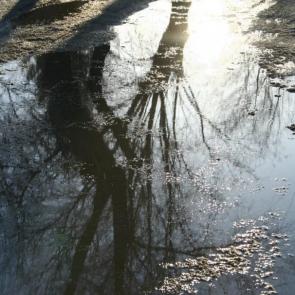 ����: �����