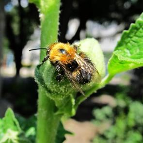 ����: �� ��������