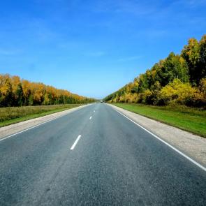 ����: �����.