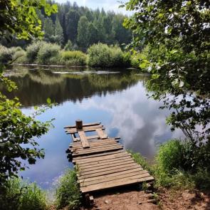 ���� ��������: 