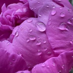 ���� ��������: ������ �����