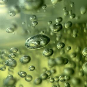 ����: ��������