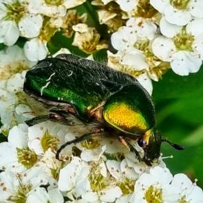 ���� ��������: 