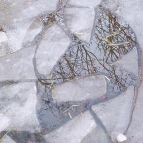 ���� ��������: ������� ���� �����