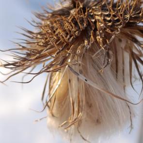 ����: �� ����������� 