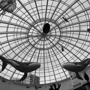 ����: ���� �������� 