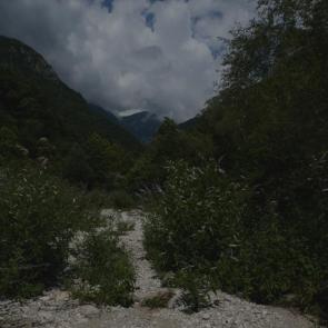 ���������� ��������� ���������