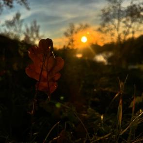 ����� �� ����������