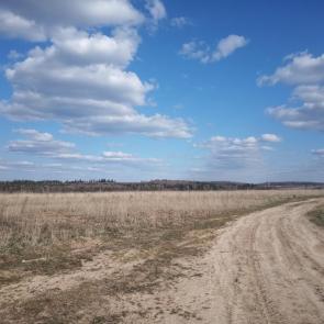 ����: ������