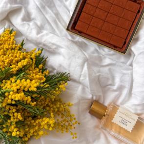 ����: �������� �����������