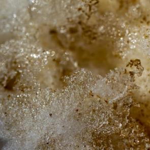 ���� ��������: �������� ������ �����