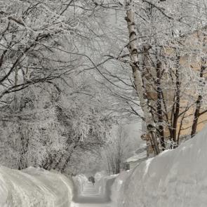 ���� ��������: ���������� ���� � ���