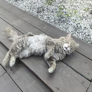 ����: ������ �������� ������