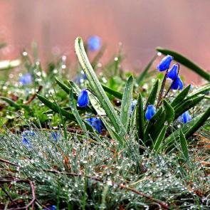 ����������