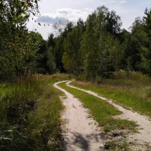 ����: ������ ������