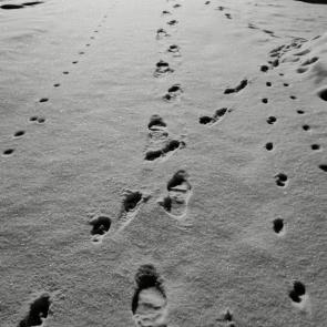 ����: ���� �����. ������ �����