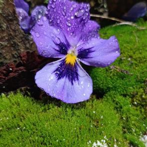 ����������