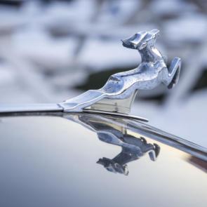 ����: ����� �����