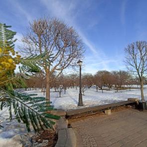 ����: �������� �����