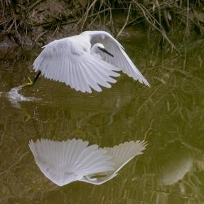 ����: ����� ����� �����.