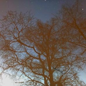 ��������� �� ����������