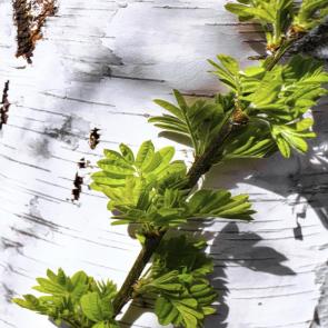 ����: �� �����.