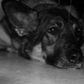 ���� ��������: ������ ��