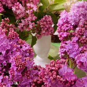 ����: ��������� ������� 