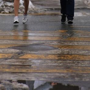 ����: �������� ����