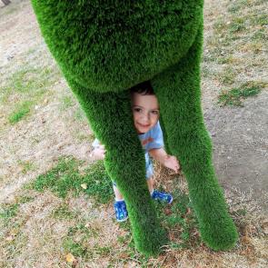 ����: ��- ��