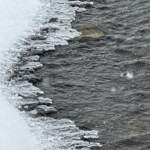 ����������