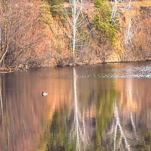 ��������� �� ����������