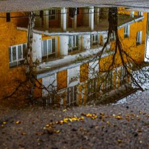 ����: �������� ����