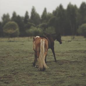 ����������� ������