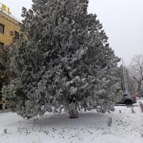 ����: ������ ������