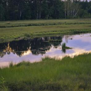 ����: ����� � �������� ����