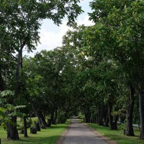 ����: ������������ ����