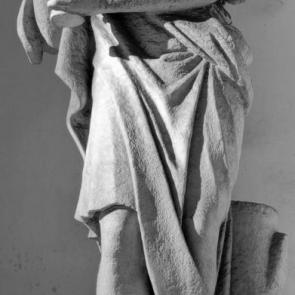 ���� ��������: �����������