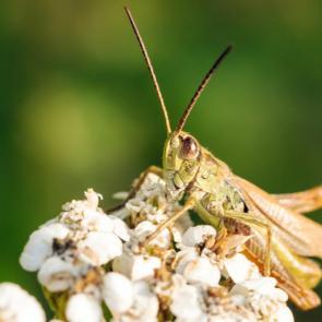 ����: �������� �� ������