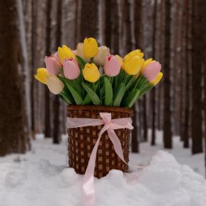 ����: �������� ����������