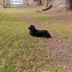 ���� ��������: ������ � �����