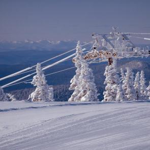 ����: �������� ������� 2026