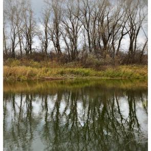 ����: 