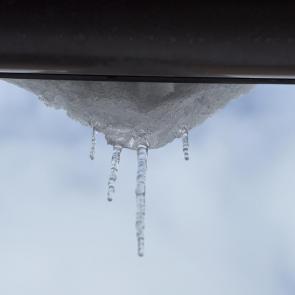 ����: � �������� �����