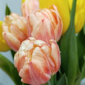 ��������� �����