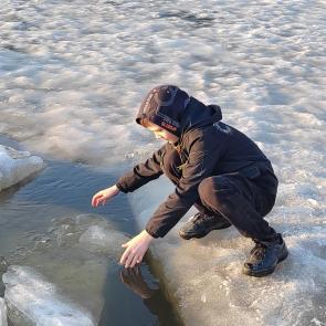 ������� �����������