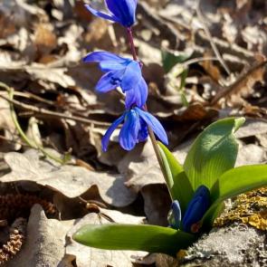 ����������